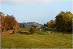 farmapark-1.jpg